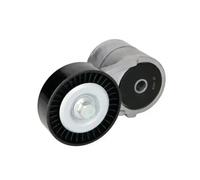 2x ✅Fits BTA E3W0038BTA Tensioner Lever, V-ribbed belt E3W0038 BTA B ⭐UK Seller⭐