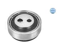 MEYLE 100 009 0015 Tensioner pulley