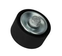 BTA E28002BTA Tensioner pulley