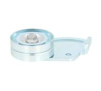 BTA E2C0029BTA Tensioner pulley