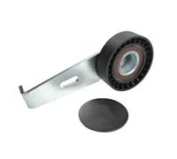 BTA E2C0031BTA Tensioner pulley