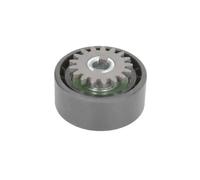 BTA E2R5550BTA Tensioner pulley