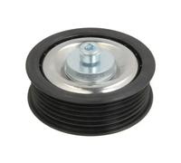 BTA E2W5485BTA Tensioner pulley