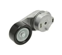 BTA E3W0013BTA Tensioner pulley