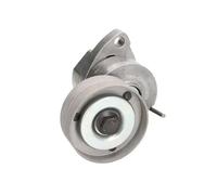 BTA E3X0001BTA Tensioner pulley