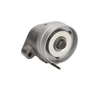 BTA E3X0006BTA Tensioner pulley