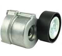 V-belt tensioner pulley FT44633 FAST for ALFA ROMEO SAAB OPEL LANCIA FIAT JEEP