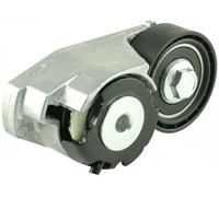 V-belt tensioner pulley FT44638 FAST for FORD JAGUAR