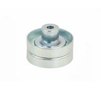 FAST FT44666 Tensioner pulley