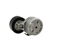 FAST FT44667 Tensioner pulley