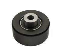 FAST FT44699 Tensioner pulley
