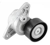 SNR GA351.48 Tensioner pulley