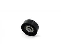 SNR GA352.93 Tensioner pulley