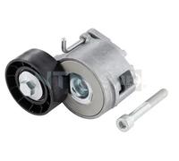 SNR GA358.07 Tensioner pulley