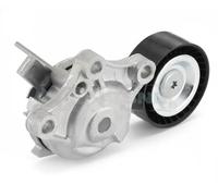 SNR GA359.28 Tensioner pulley