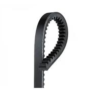 GATES V-Belt TR22434