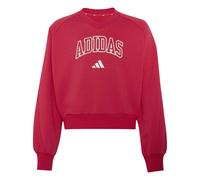 V-Neck Sweatshirt Girl adidas Seasonals Collegiate Typography Rose 13/14 ans