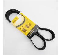 Contitech 7PK1290 V-Ribbed Belt