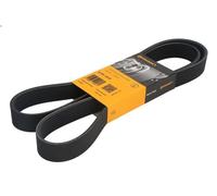 V-ribbed Bel CONTITECH 8PK1515 for MAN TGA 12.816 1999-2009