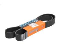 V-ribbed Bel DAYCO 10PK1435HD for VOLVO B12 12.13 2006-