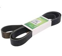 V-ribbed Bel DAYCO 10PK2215SAGRI