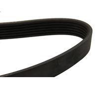 V-ribbed Bel DAYCO 6PK1185 for MG ZR 2 2001-2005