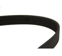 V-ribbed Bel DAYCO 7PK2061 for INFINITI FX 3.5 2008-2009