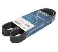 V-ribbed Bel DAYCO 8PK1143