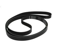 INA FB 8PK3218XD Serpentine belt