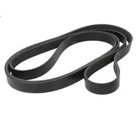 V-ribbed Bel INA FB 8PK3301XD for JOHN DEERE 6000 4.525 2009-