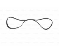 BOSCH 1987948391 V-Ribbed Belt Fits Chevrolet Citroën C1 Fiat Ford Iveco Nissan