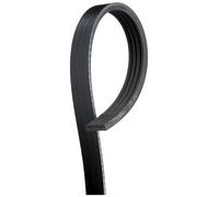 V-RIBBED BELT 4PK885