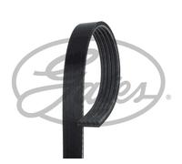 V-RIBBED BELT 5PK1290 GATES I