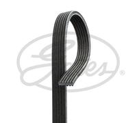 V-RIBBED BELT 6DPK1195 GATES I
