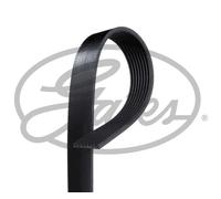 V-RIBBED BELT 6PK893XS GATES I