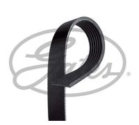V-RIBBED BELT 7PK1051SF GATES I