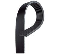 V-RIBBED BELT 7PK1196EST