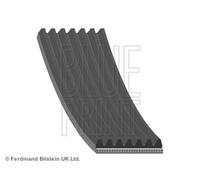 V-RIBBED BELT AD07R2035 BLUE PRINT I