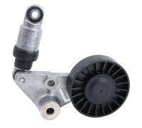 INA 534003310 Tensioner Lever