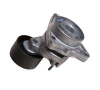 Ina Belt Tensioner 326720830