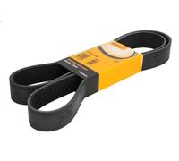 CONTITECH 10PK1545 Serpentine belt