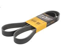 CONTITECH 8PK1427 Serpentine belt