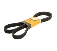CONTITECH 8PK2020 Serpentine belt