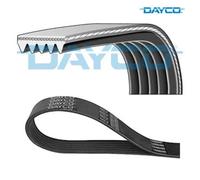 DAYCO 5PK1512S Serpentine belt