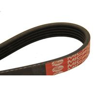 V-ribbed Belt DAYCO 5PK2030 for MG ZT 2 2002-2003