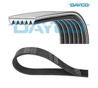 V-ribbed Belt DAYCO 6PK1685