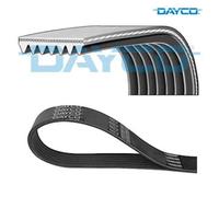 V-ribbed Belt DAYCO 7PK1569 For RENAULT, DACIA, MERCEDES-BENZ, NISSAN