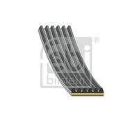 Auxiliary Belt Fits Audi OE 059903137CA Febi 185841