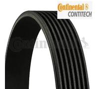 Multi-ribbed V-belt 7PK1093 CONTINENTAL CTAM for NISSAN TOYOTA VOLVO