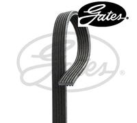 V-RIBBED BELT FITS: VW SHARAN 1.9 TDI/2.0/1.8 T 20V/1.9 TDI 4MOTION/2.0 LPG.V